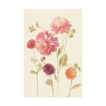 Danhui Nai 'Watercolor Flowers Vi' Canvas Art,12x19